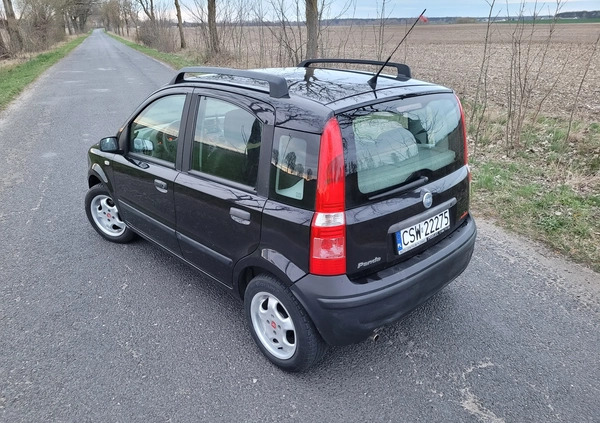 Fiat Panda cena 7900 przebieg: 158000, rok produkcji 2004 z Chełmno małe 352